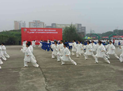 肖家河永丰社区太极拳协会参加“太极蓉城”