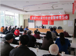 新光社区组织学习党的十八届六中全会精神